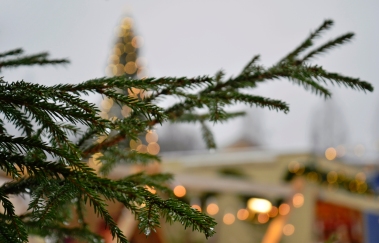 Mikkeli jõuluturg 2014